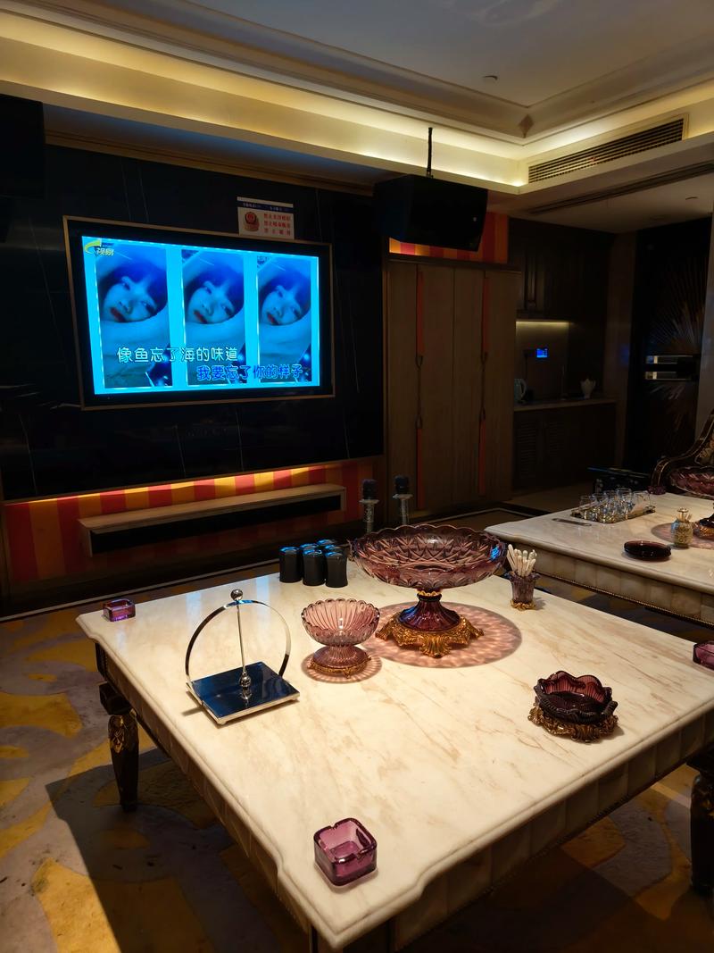 济宁商务ktv夜场宣传限时优惠-嘉祥县ktv预定